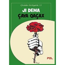 TeknoKapsül Ji Dema Çaya Qaçax