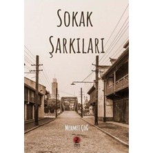 TeknoKapsül Sokak Şarkıları