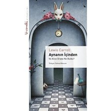 TeknoKapsül Aynanın Içinden - Livaneli Kitaplığı