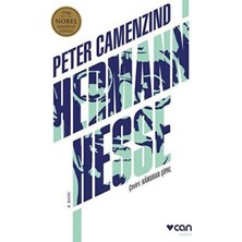 TeknoKapsül Peter Camenzind