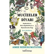 TeknoKapsül Mucizeler Diyarı: Ateşböceklerine, Balina Köpekbalıklarına ve Başka Şahanelere Övgü