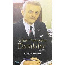 TeknoKapsül Gönül Pınarından Damlalar Şiirler