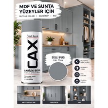 CAXCOLORS Cax Akrilik Sprey Boya 400 ml Mutfak Dolabı Gardırop Ahşap Mobilya Boyası