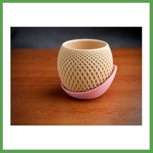 Bezos 3D Baskı Küre Saksı - Kafes Dokulu Iki Parçalı Dekoratif Saksı - Bej-Pembe Mgc