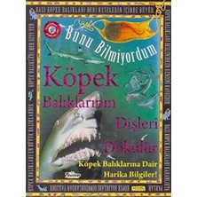 TeknoKapsül Bunu Bilmiyordum - Köpek Balıklarının Dişleri Dökülür