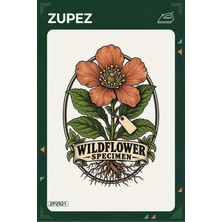 Zupez ZPZ821 – Wildflower Specimen Ütüyle Uygulanabilir Transfer Baskı