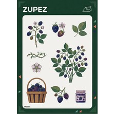 Zupez Böğürtlen Desenli Botanik Tema Ütüyle Uygulamalı Kumaş Transfer Baskı