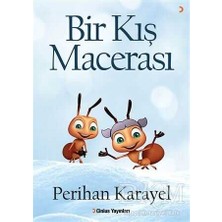 TeknoKapsül Bir Kış Macerası