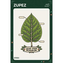 Zupez ZPZ824 – Leaf Vein Diagram Ütüyle Uygulanabilir Transfer Baskı