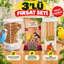 Akıllı Kuş Yemliği Gold Wings Kanarya Yemi Quik Kumlu Tünek 4’lü - Kuş Bakım Seti