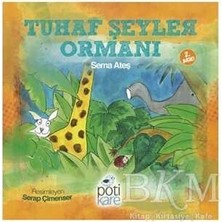 TeknoKapsül Tuhaf Şeyler Ormanı
