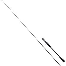 Sea Horse Slow Soul Jigging Bc1 1,80M 80-300GR