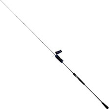 Sea Horse Labrax Bc 1,98M 40-100GR Kamış