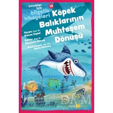 TeknoKapsül Köpek Balıklarının Muhteşem Dönüşü - Çocuklar Için Bilgelik Hikayeleri 13