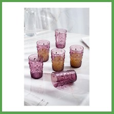 Bezos Akrilik Mürdüm 6'lı Kısa Bardak & Su Meşrubat Kahve Yanı Bardağı 400 ml ( Cam Değildir ) Mgc