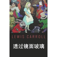 Step Kitap 透过窥镜: Through The Looking Glass, Chinese Edition