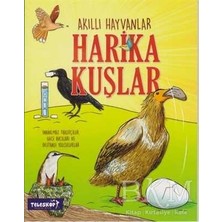TeknoKapsül Harika Kuşlar