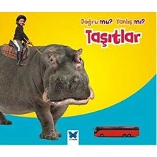 TeknoKapsül Doğru Mu? Yanlış Mı?: Taşıtlar
