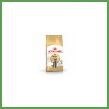 Bezos British Shorthair Adult Yetişkin Kedi Maması 400 gr Mgc