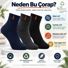 Marchè Bien Erkek Çorap Dikişsiz 3'lü Havlu  | Orta Konç, Sıcak Tutan, Yumuşak ve Dayanıklı
