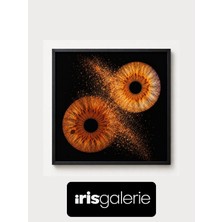 Gümrük Bey Iris Galerie 25X25 cm Duo Fusion Light Box Siyah Çerçeveli Işıklı Tablo