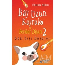TeknoKapsül Bay Uzun Kuyruk ve Periler Diyarı 2 - Gök Taşı Düşüyor