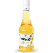 Be Sandaloz Sakızlı Elma Sirke 500ML 1 Adet Najmaddin