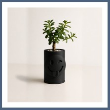 Bezos 3D Baskı Emoji Planter - Göz Kırpan Yüzlü Sukulent Saksısı-Siyah BZS10