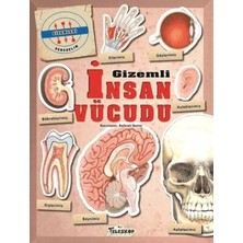 TeknoKapsül Gizemleri Öğrenelim - Gizemli Insan Vücudu