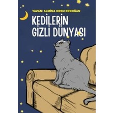 TeknoKapsül Kedilerin Gizli Dünyası
