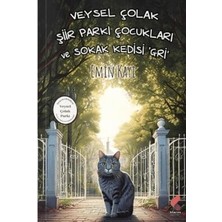 TeknoKapsül Veysel Çolak Şiir Parkı Çocukları ve Sokak Kedisi Gri