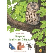 TeknoKapsül Meşenin Muhteşem Dünyası