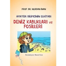 TeknoKapsül Deniz Kabukları ve Fosilleri - Amatör Bilimcinin Elkitabı