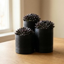 Die Grup Comes - Sıren 3'lü Minimalist Dekoratif Saksı Seti (Siyah)