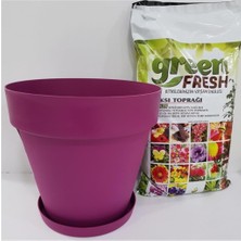 Die Grup Yalı Saksı 10 Lt 28X26 cm + Torf Toprak