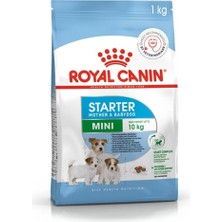 Die Grup Mini Starter Köpek Maması 4kg
