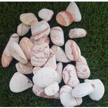 Die Grup Sarı Çizgili Taş 10 kg 2-4 cm Dolomit Taş Dere Taşı Çakıl Taşı Bahçe Süs Taşı Akvaryum Teraryum Taşı Sarı