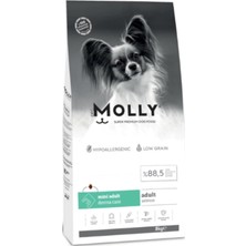 Die Grup Hipoalerjenik Düşük Tahıllı Somonlu Küçük Irk Yetişkin Köpek Maması 8 kg