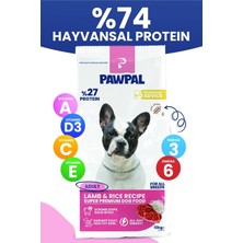 Die Grup Kuzu Etli Süper Premium Yetişkin Köpek Maması 12KG | Hipoalerjenik –düşük Tahıllı – Yüksek Proteinli
