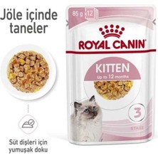 Die Grup Kitten Jelly Yavru Kedi Yaş Mama 85 GRX12 Ad