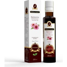 Die Grup Ekinezya Ekstraktı 250 ml