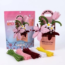 Die Grup Flora Box Yeni Başlayanlar Için Tığ Işi Seti - Hepsi Bir Arada Amigurumi Seti