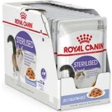 Die Grup Sterilised Jelly Kısır Kedi Pouch Yaş Mama 85 gr x 12 Adet