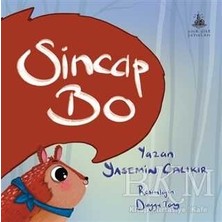 TeknoKapsül Sincap Bo