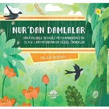 TeknoKapsül Nur’dan Damlalar