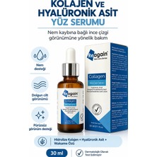 Reagain Kırışıklık Karşıtı, Dolgunlaştırıcı Kolajen, Hyaluronic Acid, Algae Cilt Bakım Serumu 30 ml