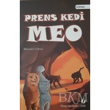 TeknoKapsül Prens Kedi Meo