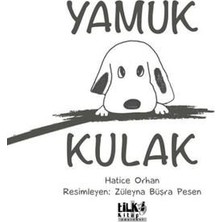 TeknoKapsül Yamuk Kulak