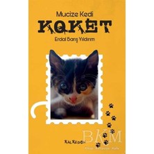 TeknoKapsül Mucize Kedi Koket