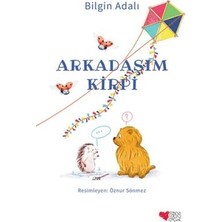 TeknoKapsül Arkadaşım Kirpi